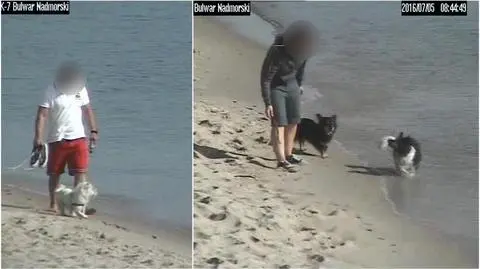 Gdynia: Zakaz wprowadzania psów na miejskie kąpieliska