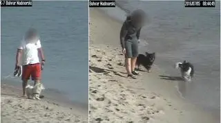 Zakaz wyprowadzania psów na miejskich plażach