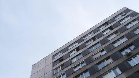 Pijany wyrzucił szczeniaka przez okno. Usłyszy zarzuty