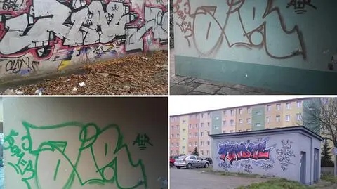 Strażnicy z Brzegu tworzą bazę graffiti