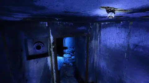 Polak nagrodzony w Londynie. "Nocek rudy spał, a ja miałem 13 sekund"