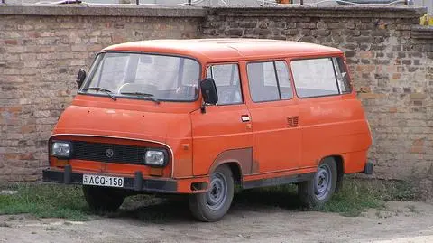 Złodzieje wieźli 16 owiec skodą