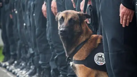 Zamachy w Paryżu. Rosja chce współpracować nad kwestią bezpieczeństwa