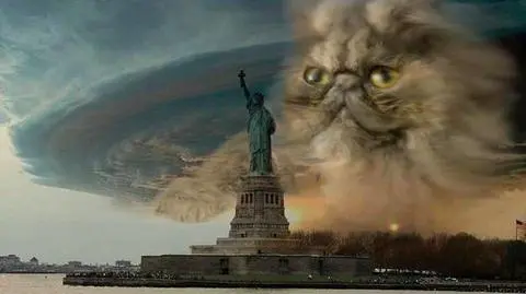 Internet bawi się z huraganem Sandy. Wielki kot lata nad Nowym Jorkiem