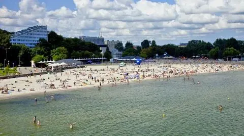 Sinice zakwitły w Gdyni