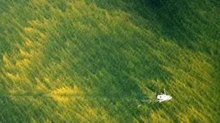 Będą obserwować zakwity sinic z drona