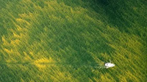 Wykorzystają dron do wykrywania sinic