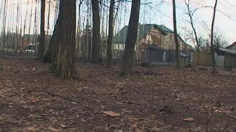 Rok w zawieszeniu 
 za współżycie 
 z ojcem