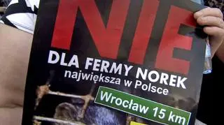 Mieszkańcy nie chcą fermy norek 