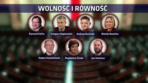 Lewica szuka pomysłu