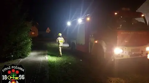 Poznań: Zarzuty dla 56-letniego Holendra