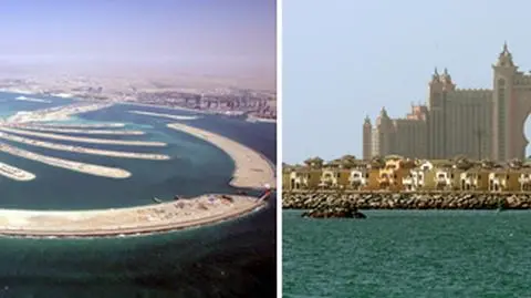 Dubajowi przybyła palma