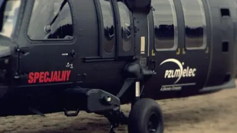 Jastrząb nad Polską