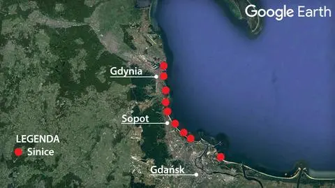 Sinice zaatakowały trójmiejskie kąpieliska