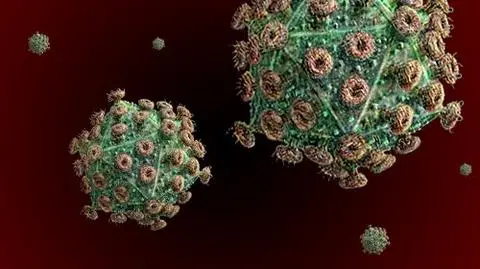 AIDS nadal zbiera żniwo