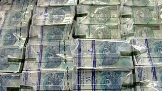 Kobieta wyłudziła ponad pięć mln złotych