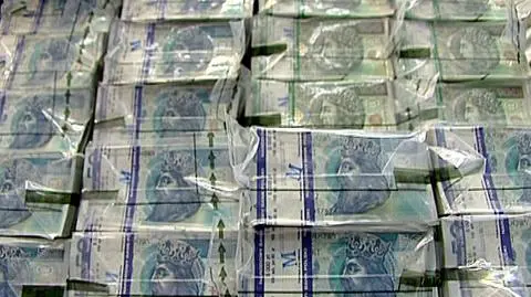 173 przestępstwa, 5 mln zł wyłudzonych. 39-latka przed sąd
