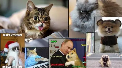 Małe manipulacje, duże pieniądze i wady genetyczne. 10 faktów o pupilach internetu