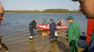 Z jeziora Stryjewo wyłowili 12 martwych jeleni i dzika