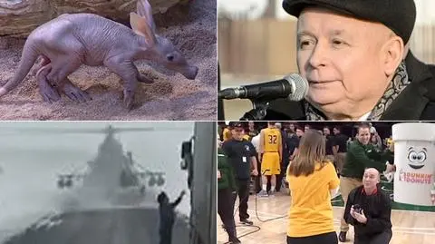 Wybierz najciekawsze wideo tygodnia w tvn24.pl