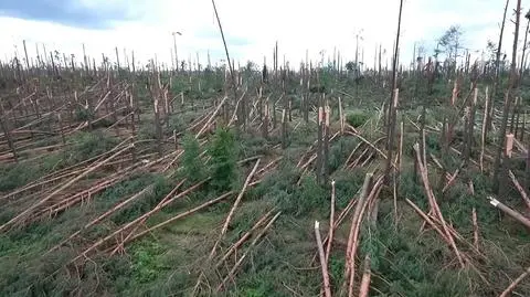 Suszek. Zarzuty dla zastępcy komendanta obozu harcerskiego