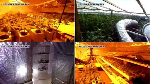 Dawny pensjonat dużą plantacją marihuany