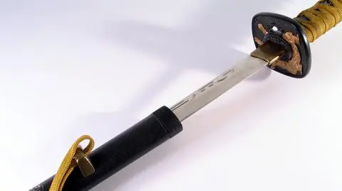 Ninja zaatakował pralnię