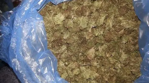 Policja zatrzymała handlarzy marihuany z Sosnowca