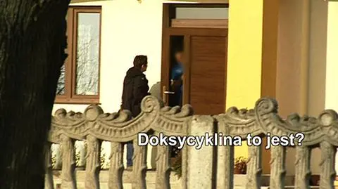 Reportaż "Uwagi" TVN ujawnia szokujący proceder faszerowania zwierząt antybiotykami