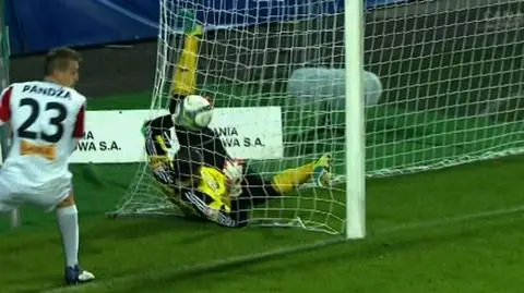 Zaplątał się w siatce. Jak on to obronił? [FILM]