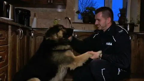 Uratowanym psem opiekuje się policjant 