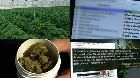 W aptekach brakuje leczniczej marihuany