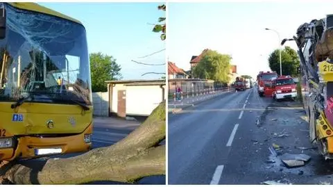 Tir zepchnął autobus na drzewo. Pięć osób rannych