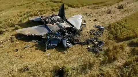 Experienced pilot died in Polish Air Force MiG-29 crash