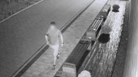 Urwał samochodowe lusterko i odszedł. Szuka go policja