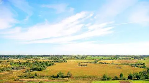 Chińczycy wydzierżawili kawałek Syberii