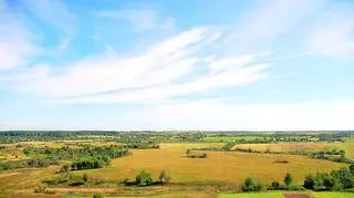 Jeśli inwestycja będzie sukcesem, dzierżawiony areał wzrośnie do 200 tys. hektarów