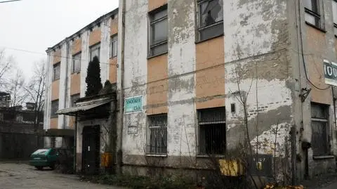 Szukali drewna, znaleźli zwłoki