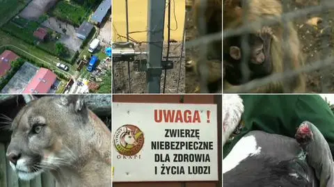Podczas interwencji zastano wstrząsający widok