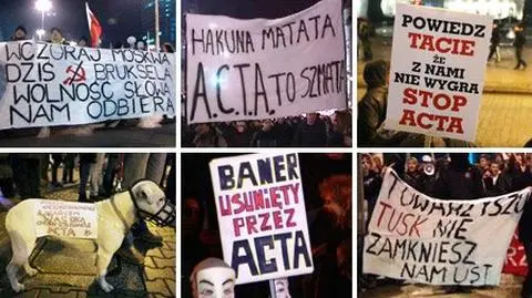 "Hakuna matata ACTA to szmata", 
"Tusk matole skąd ściągniesz pornole"