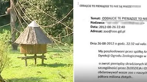 Budują domek dla gibonów za pieniądze z Amber Gold. "Nie możemy ich zwrócić"