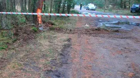 Spowodowała wypadek po pijanemu, straciła trzyletnią córkę. Tragedia na leśnej drodze