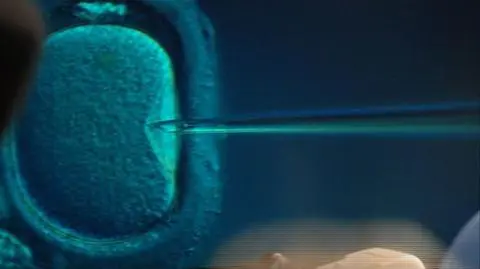 Jest nowa wersja projektu ustawy o in vitro