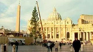 Choinka już stoi. Teraz czas na ozdoby.