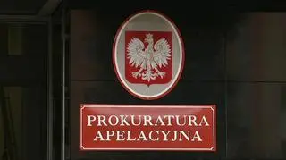 Rzecznik Prokuratury Apelacyjnej w Warszawie nie chciał ujawnić, kto jest podejrzanym. Wiadomo jedynie, że to funkcjonariusz publiczny