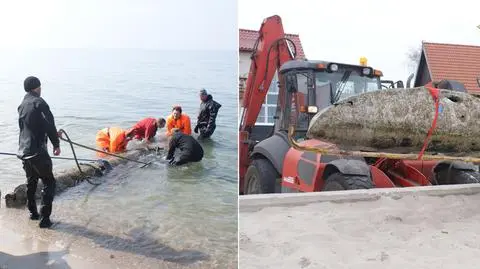 Wyłowili pływak hydroplanu z czasów II wojny światowej