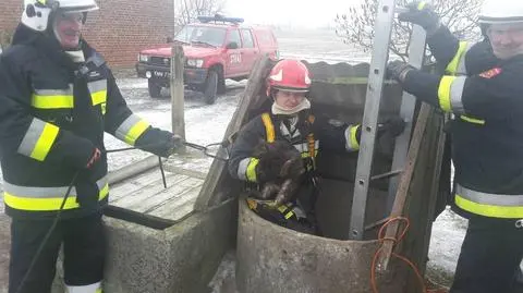 Jeden ze strażaków wszedł do studni