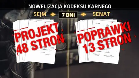 Reformę kodeksu karnego czekają poprawki