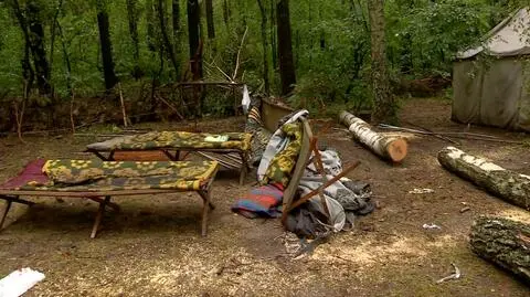 Miejsce, gdzie runęło drzewo