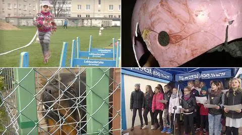 Tczew: Kupowali cegiełki dla pogryzionej 9-latki